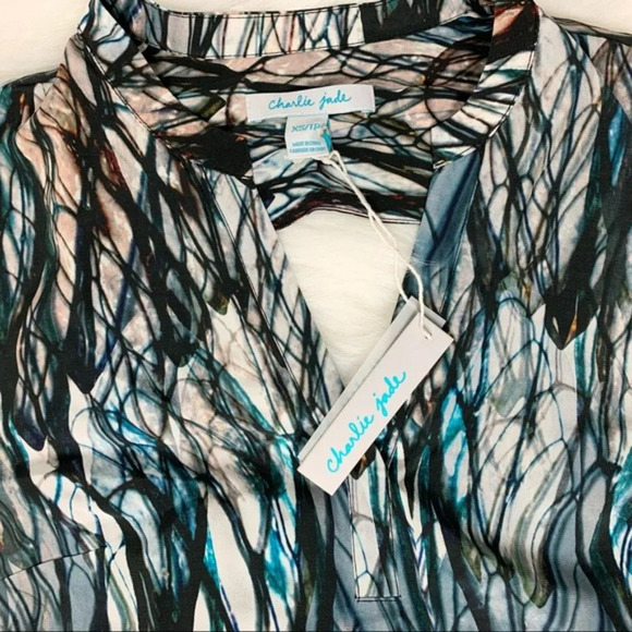 Charlie Jade Blouse Silk Pattern Open Back cut out long sleeve sheer Size XS - Picture 9 of 14